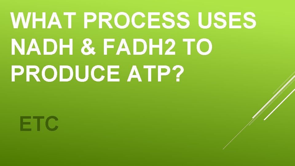 WHAT PROCESS USES NADH & FADH 2 TO PRODUCE ATP? ETC WHAT PROCESS USES NADH & FADH 2 TO PRODUCE ATP? ETC