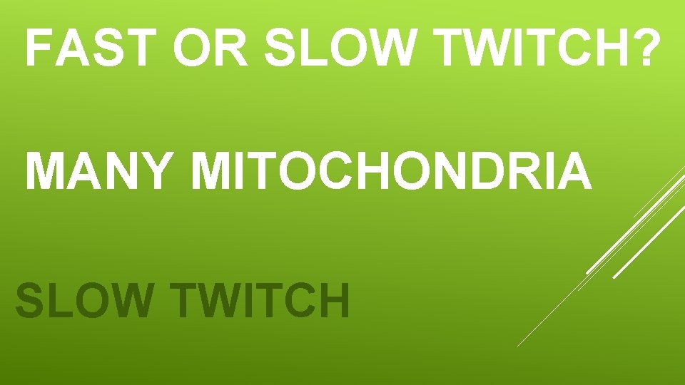 FAST OR SLOW TWITCH? MANY MITOCHONDRIA SLOW TWITCH FAST OR SLOW TWITCH? MANY MITOCHONDRIA SLOW TWITCH