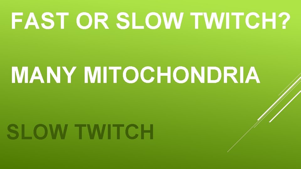 FAST OR SLOW TWITCH? MANY MITOCHONDRIA SLOW TWITCH 