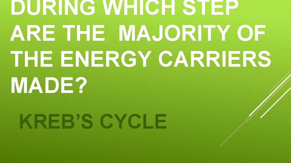 DURING WHICH STEP ARE THE MAJORITY OF THE ENERGY CARRIERS MADE? KREB’S CYCLE 