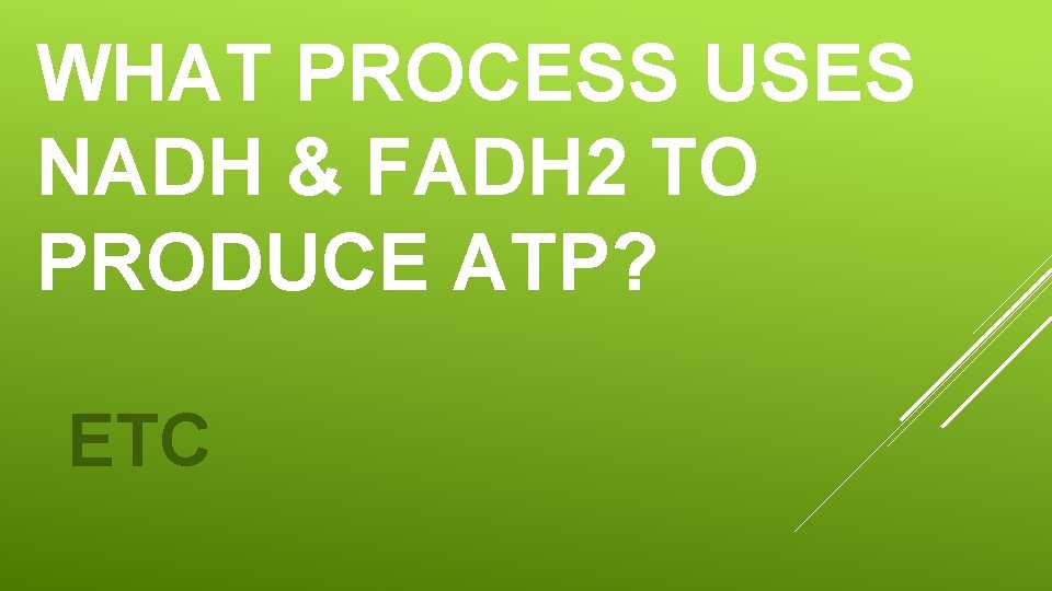 WHAT PROCESS USES NADH & FADH 2 TO PRODUCE ATP? ETC 