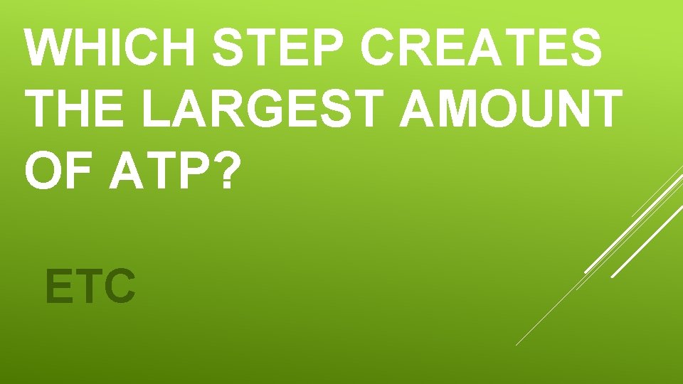 WHICH STEP CREATES THE LARGEST AMOUNT OF ATP? ETC WHICH STEP CREATES THE LARGEST AMOUNT OF ATP? ETC