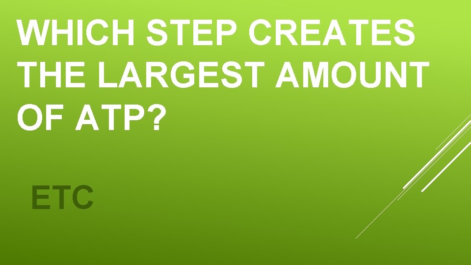 WHICH STEP CREATES THE LARGEST AMOUNT OF ATP? ETC 