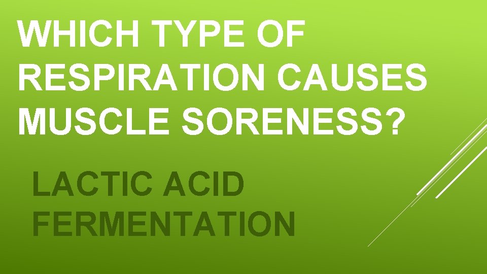 WHICH TYPE OF RESPIRATION CAUSES MUSCLE SORENESS? LACTIC ACID FERMENTATION 