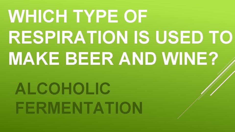 WHICH TYPE OF RESPIRATION IS USED TO MAKE BEER AND WINE? ALCOHOLIC FERMENTATION 