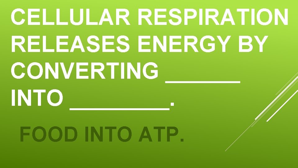 CELLULAR RESPIRATION RELEASES ENERGY BY CONVERTING ______ INTO ____. FOOD INTO ATP. CELLULAR RESPIRATION RELEASES ENERGY BY CONVERTING ______ INTO ____. FOOD INTO ATP.