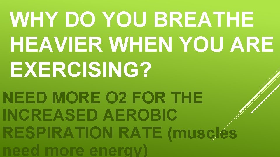 WHY DO YOU BREATHE HEAVIER WHEN YOU ARE EXERCISING? NEED MORE O 2 FOR