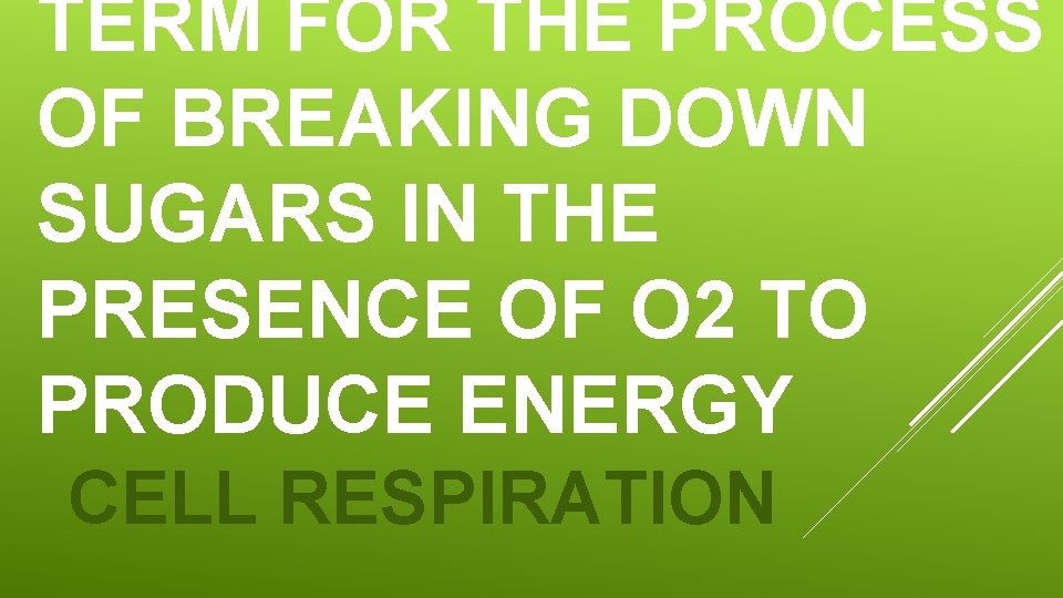 TERM FOR THE PROCESS OF BREAKING DOWN SUGARS IN THE PRESENCE OF O 2 TERM FOR THE PROCESS OF BREAKING DOWN SUGARS IN THE PRESENCE OF O 2