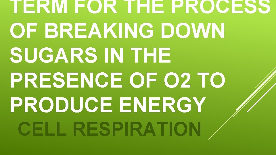 TERM FOR THE PROCESS OF BREAKING DOWN SUGARS IN THE PRESENCE OF O 2