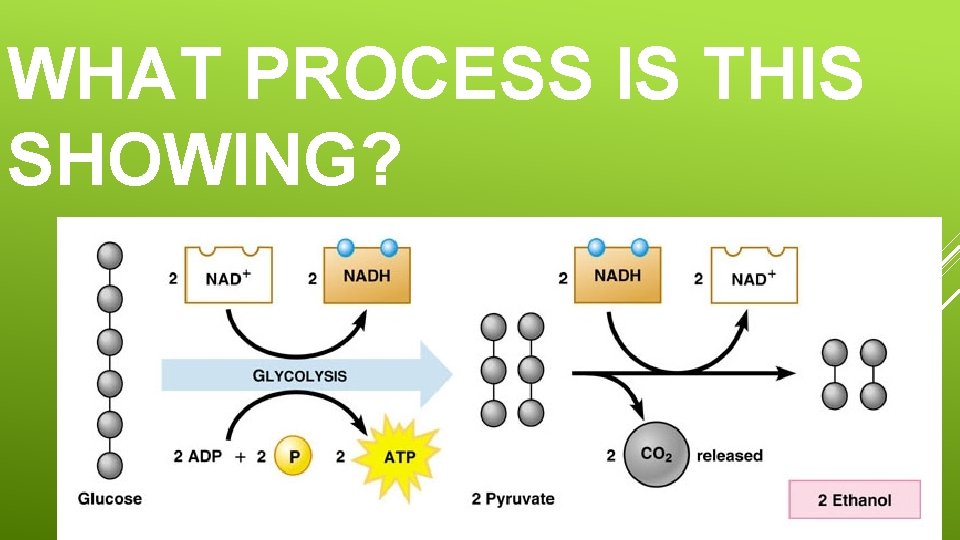 WHAT PROCESS IS THIS SHOWING? 