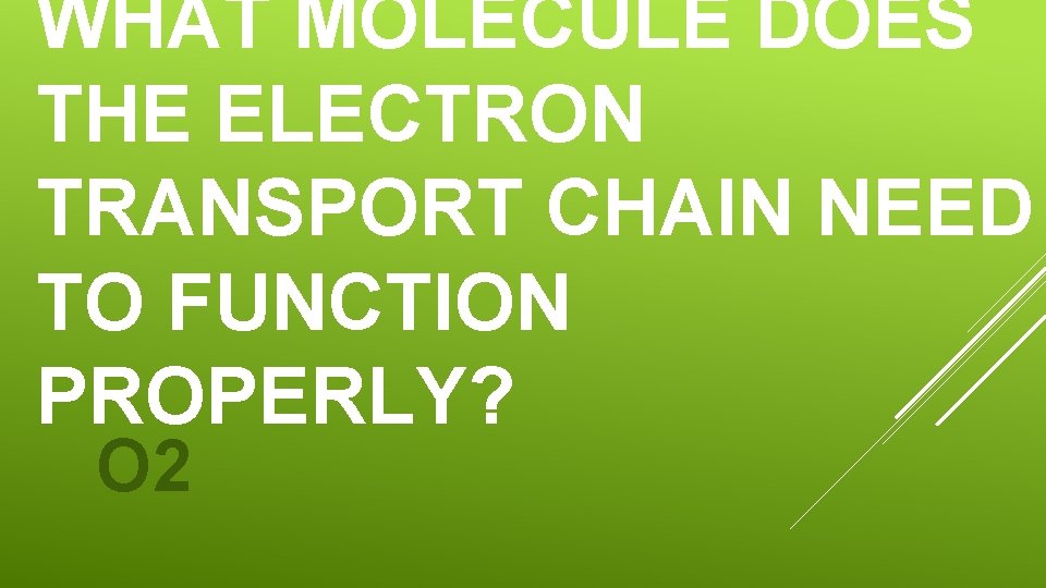 WHAT MOLECULE DOES THE ELECTRON TRANSPORT CHAIN NEED TO FUNCTION PROPERLY? O 2 