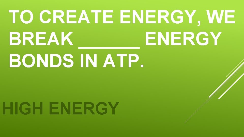 TO CREATE ENERGY, WE BREAK ______ ENERGY BONDS IN ATP. HIGH ENERGY 
