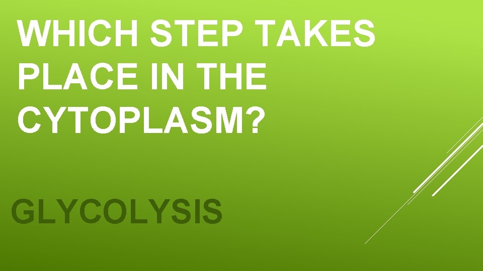 WHICH STEP TAKES PLACE IN THE CYTOPLASM? GLYCOLYSIS WHICH STEP TAKES PLACE IN THE CYTOPLASM? GLYCOLYSIS