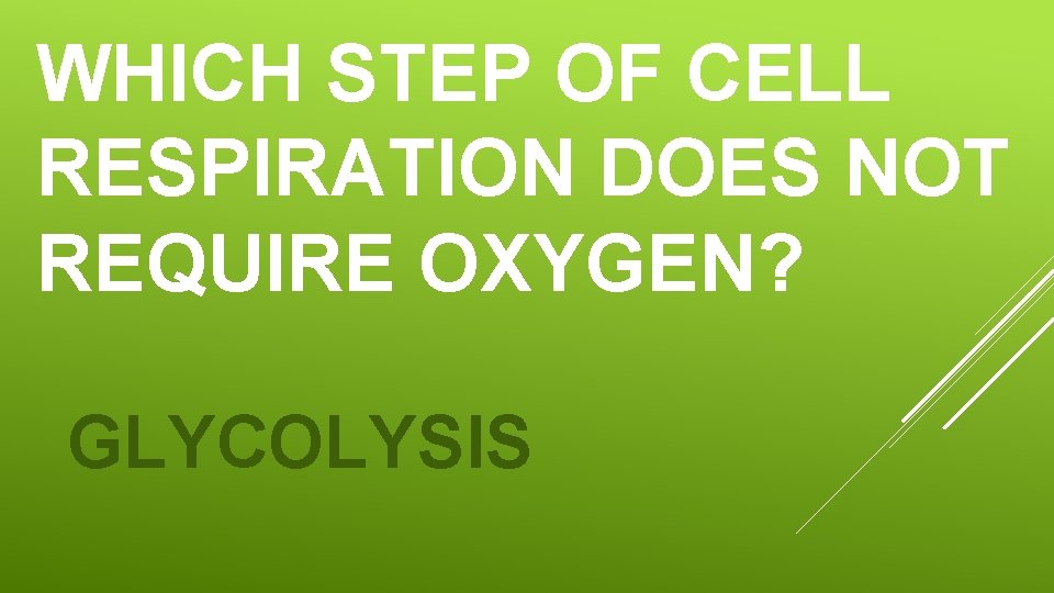 WHICH STEP OF CELL RESPIRATION DOES NOT REQUIRE OXYGEN? GLYCOLYSIS WHICH STEP OF CELL RESPIRATION DOES NOT REQUIRE OXYGEN? GLYCOLYSIS