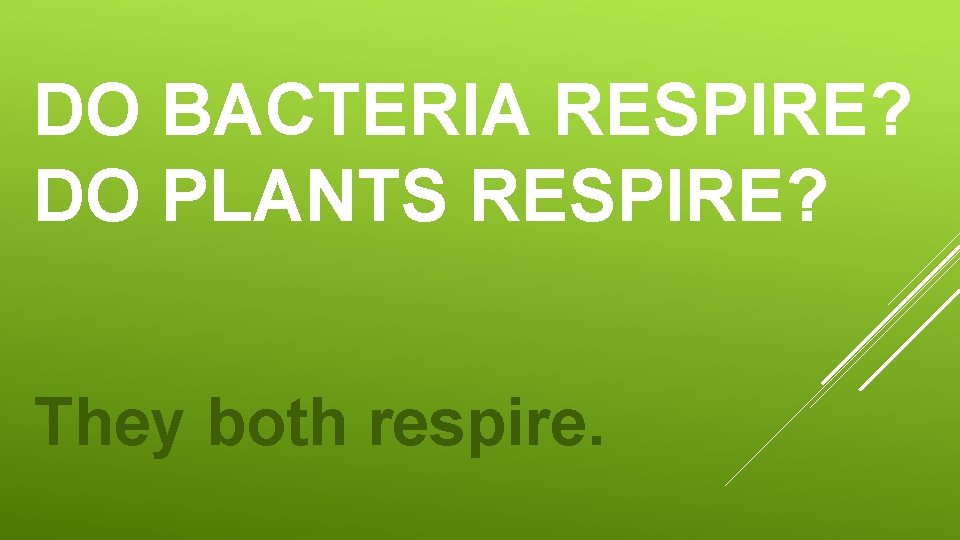 DO BACTERIA RESPIRE? DO PLANTS RESPIRE? They both respire. 