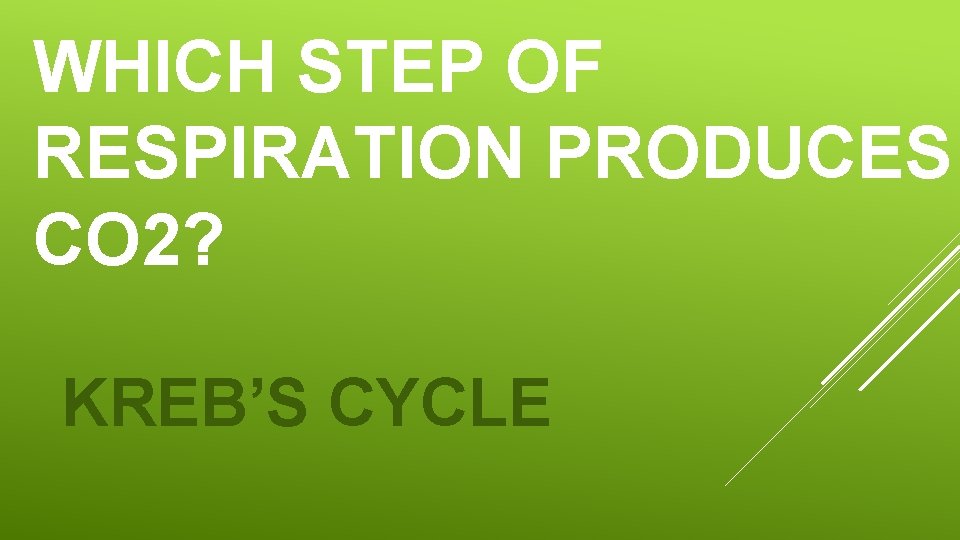 WHICH STEP OF RESPIRATION PRODUCES CO 2? KREB’S CYCLE 