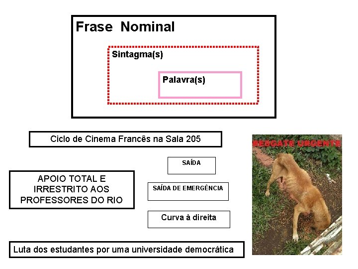 Frase Nominal Sintagma(s) Palavra(s) Ciclo de Cinema Francês na Sala 205 SAÍDA APOIO TOTAL