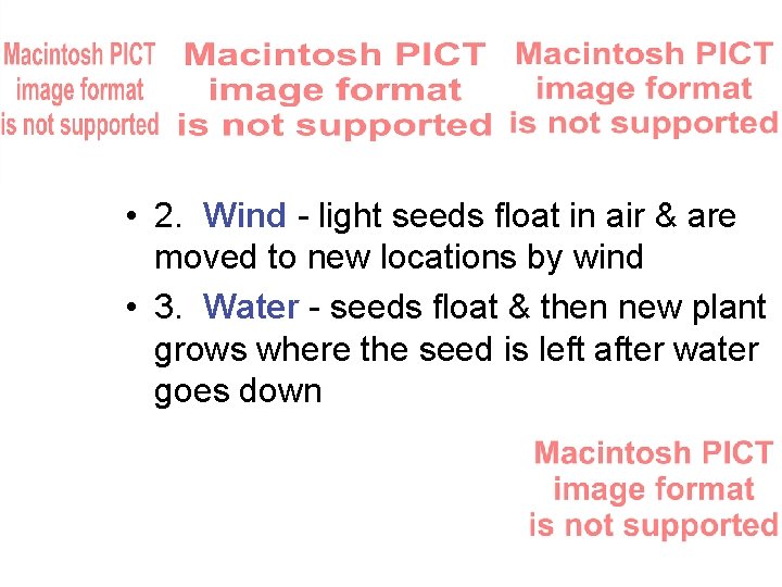  • 2. Wind - light seeds float in air & are moved to