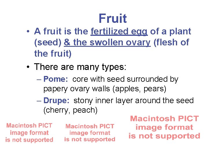 Fruit • A fruit is the fertilized egg of a plant (seed) & the
