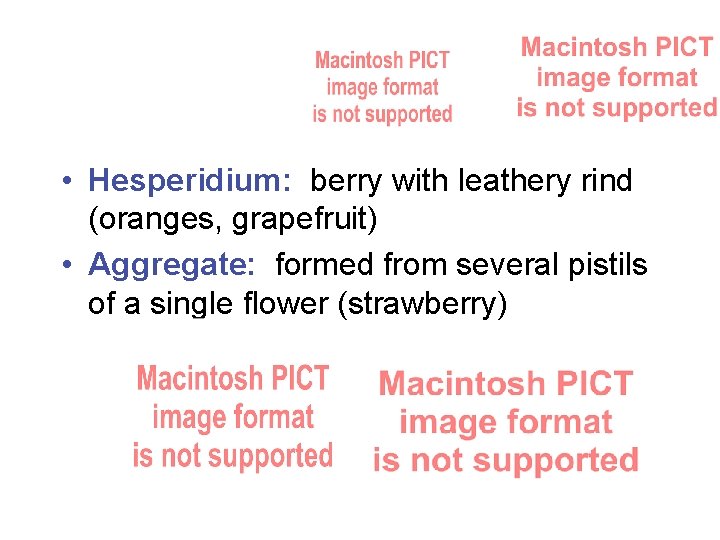  • Hesperidium: berry with leathery rind (oranges, grapefruit) • Aggregate: formed from several