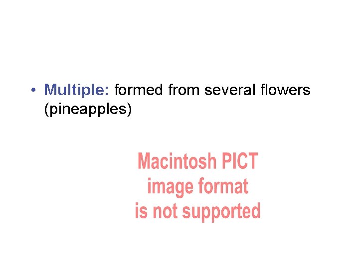  • Multiple: formed from several flowers (pineapples) 