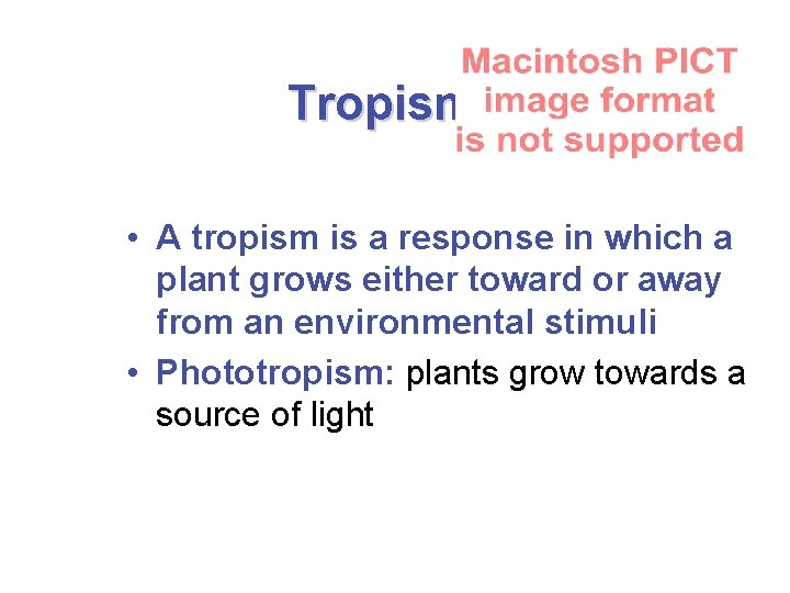 Tropisms • A tropism is a response in which a plant grows either toward