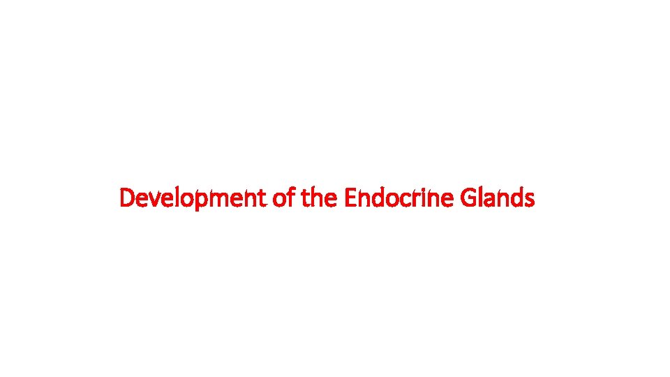 Development of the Endocrine Glands 