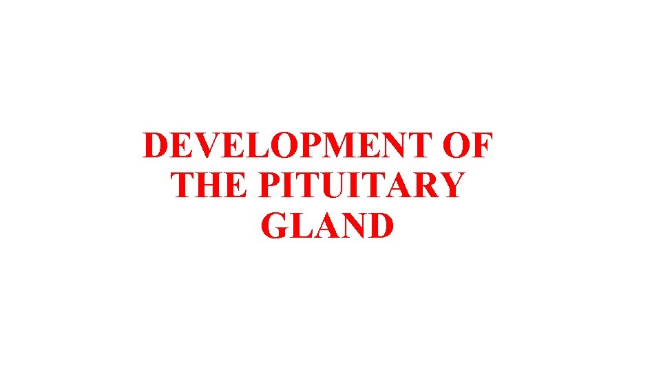 DEVELOPMENT OF THE PITUITARY GLAND 