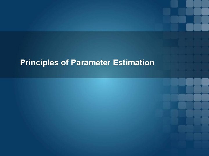 Principles of Parameter Estimation 