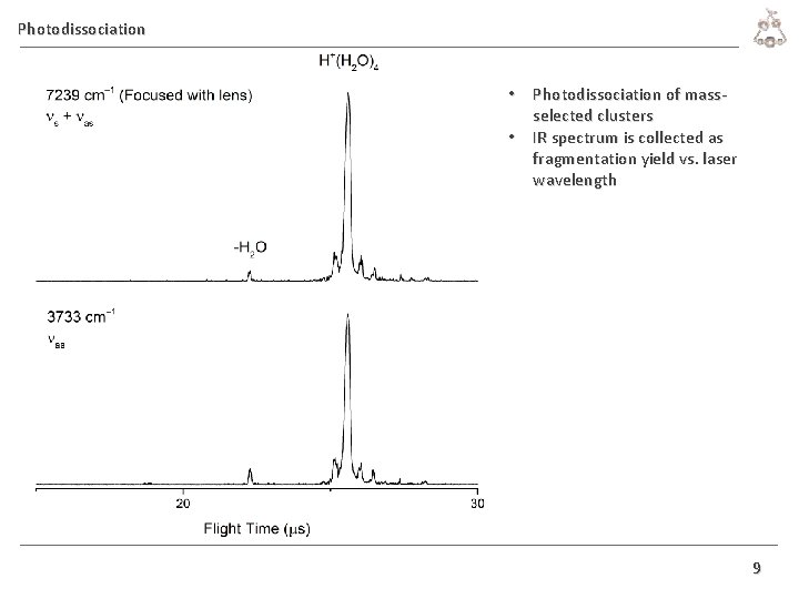 Photodissociation • Photodissociation of massselected clusters • IR spectrum is collected as fragmentation yield