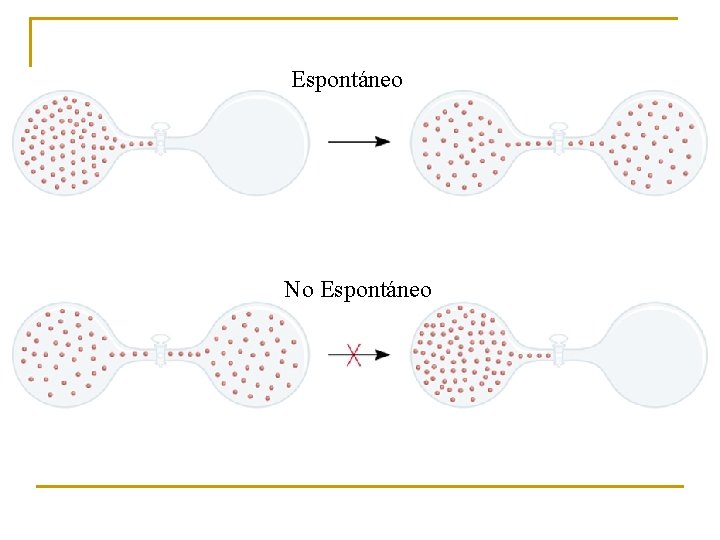 Espontáneo No Espontáneo 