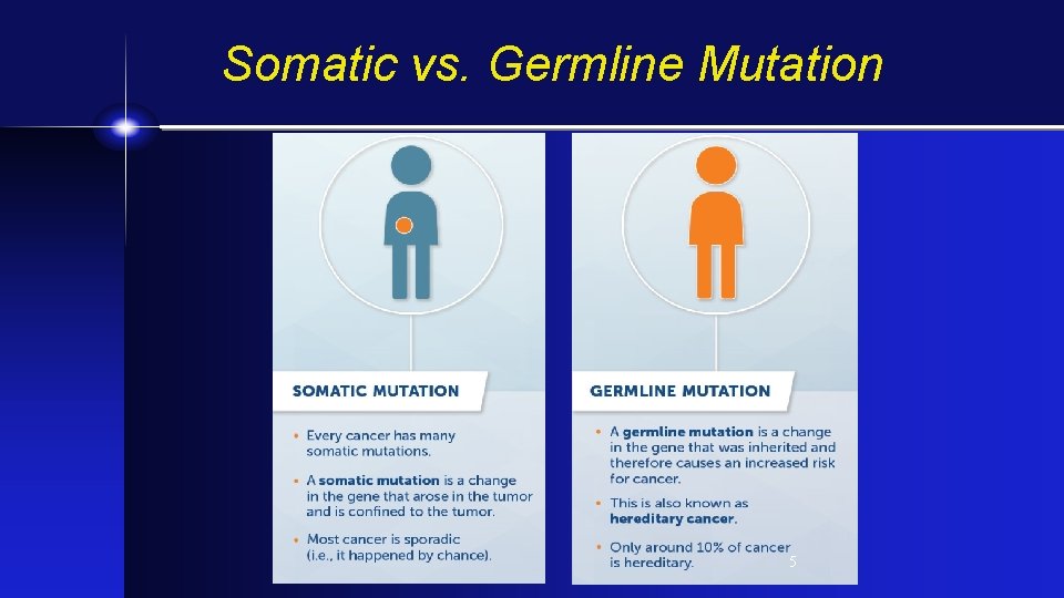 Somatic vs. Germline Mutation 5 