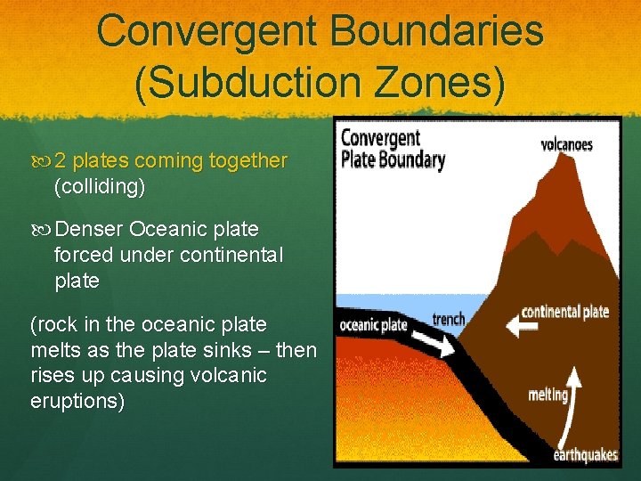 Convergent Boundaries (Subduction Zones) 2 plates coming together (colliding) Denser Oceanic plate forced under
