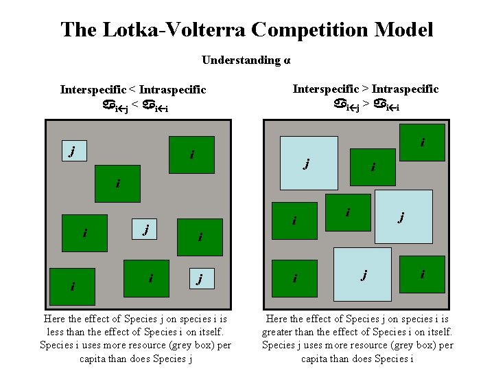 The Lotka-Volterra Competition Model Understanding α Interspecific < Intraspecific i j < i i