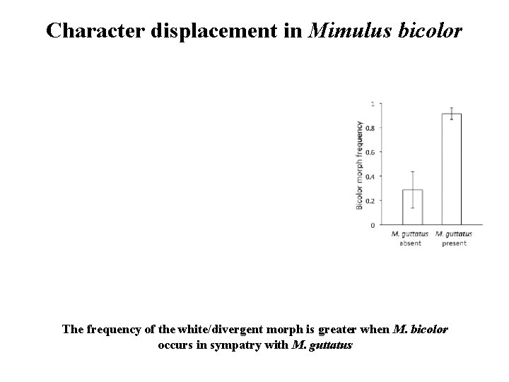 Character displacement in Mimulus bicolor The frequency of the white/divergent morph is greater when