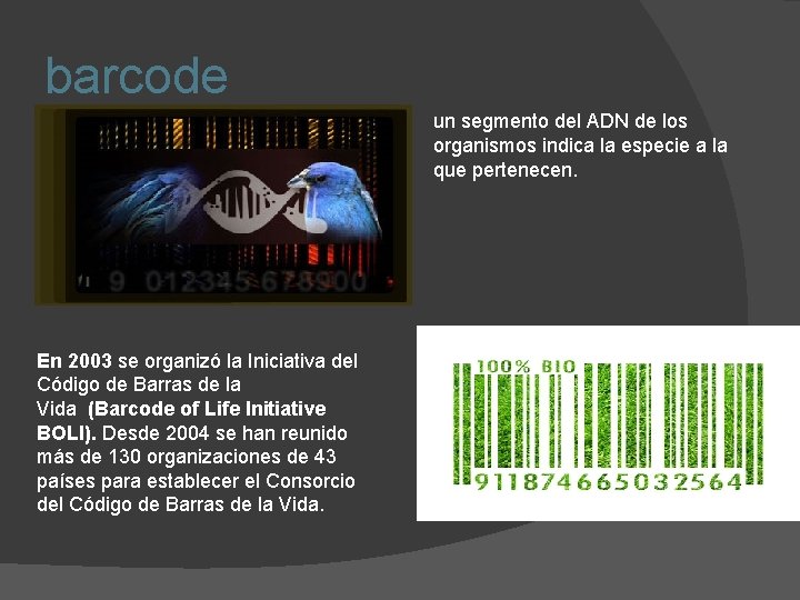 barcode un segmento del ADN de los organismos indica la especie a la que