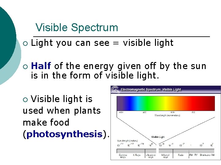 Visible Spectrum ¡ ¡ Light you can see = visible light Half of the Visible Spectrum ¡ ¡ Light you can see = visible light Half of the