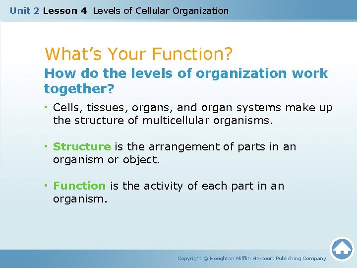 Unit 2 Lesson 4 Levels of Cellular Organization What’s Your Function? How do the Unit 2 Lesson 4 Levels of Cellular Organization What’s Your Function? How do the