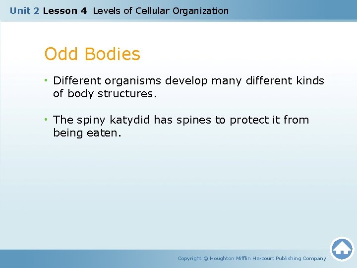 Unit 2 Lesson 4 Levels of Cellular Organization Odd Bodies • Different organisms develop Unit 2 Lesson 4 Levels of Cellular Organization Odd Bodies • Different organisms develop