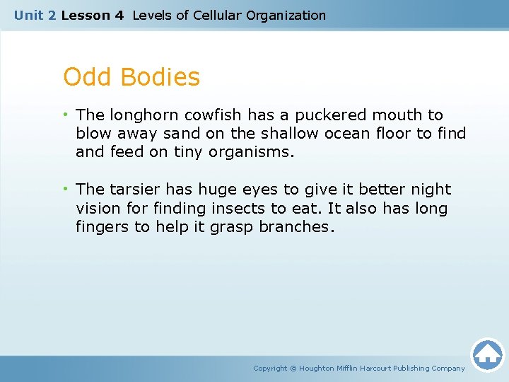 Unit 2 Lesson 4 Levels of Cellular Organization Odd Bodies • The longhorn cowfish Unit 2 Lesson 4 Levels of Cellular Organization Odd Bodies • The longhorn cowfish