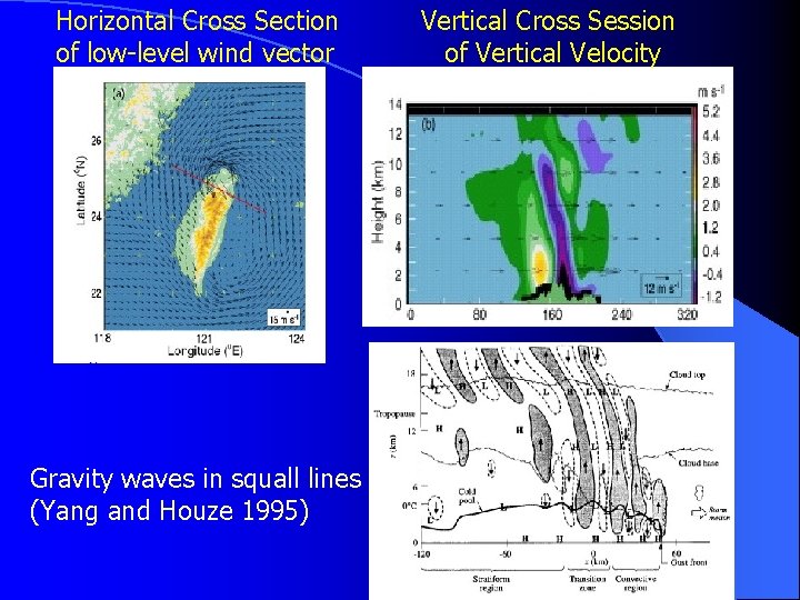Horizontal Cross Section of low-level wind vector Gravity waves in squall lines (Yang and