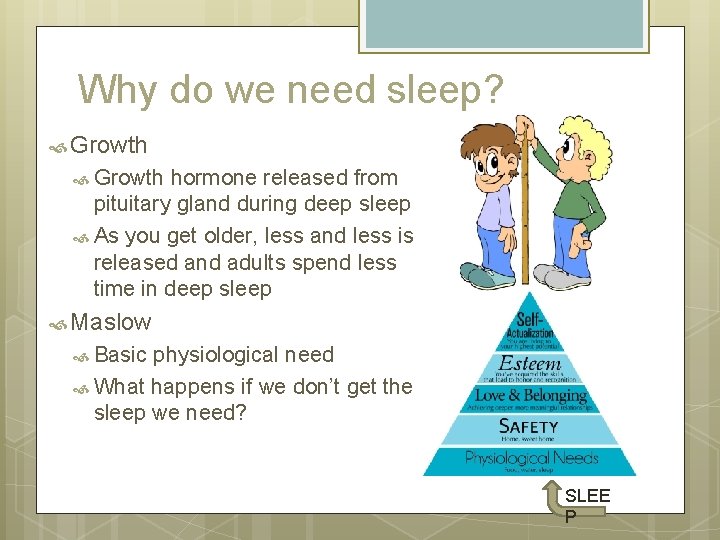 Why do we need sleep? Growth hormone released from pituitary gland during deep sleep Why do we need sleep? Growth hormone released from pituitary gland during deep sleep