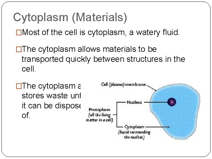 Cytoplasm (Materials) �Most of the cell is cytoplasm, a watery fluid. �The cytoplasm allows