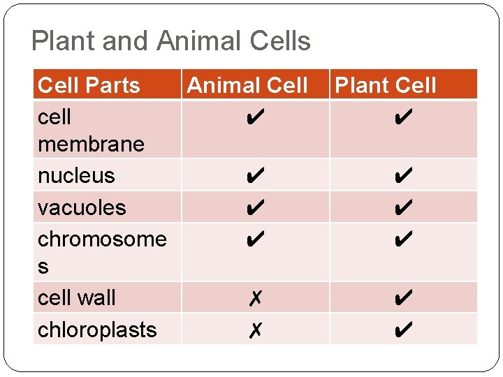 Plant and Animal Cells Cell Parts Animal Cell cell ✔ membrane nucleus ✔ vacuoles