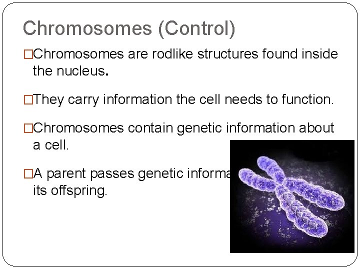 Chromosomes (Control) �Chromosomes are rodlike structures found inside the nucleus. �They carry information the