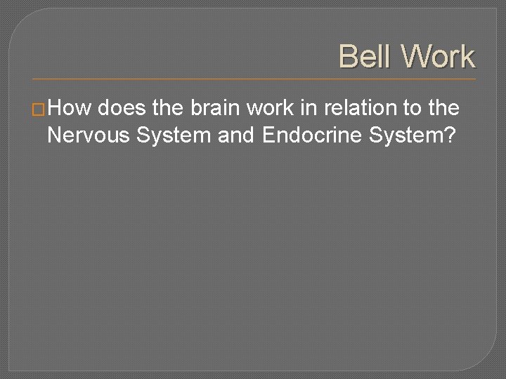 Bell Work �How does the brain work in relation to the Nervous System and