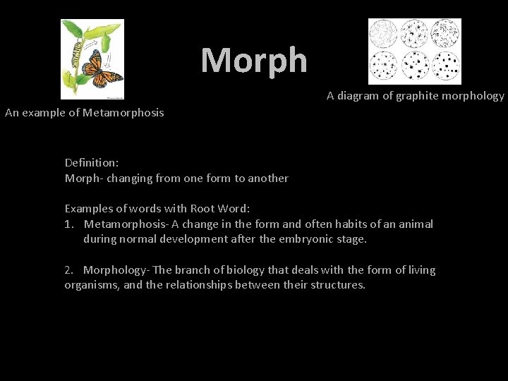 Morph A diagram of graphite morphology An example of Metamorphosis Definition: Morph- changing from