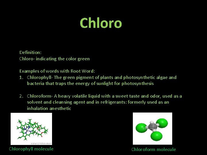 Chloro Definition: Chloro- indicating the color green Examples of words with Root Word: 1.