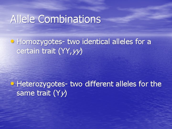 Allele Combinations • Homozygotes- two identical alleles for a certain trait (YY, yy) •