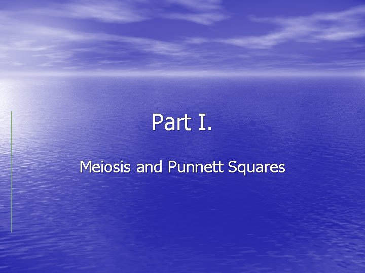 Part I. Meiosis and Punnett Squares 